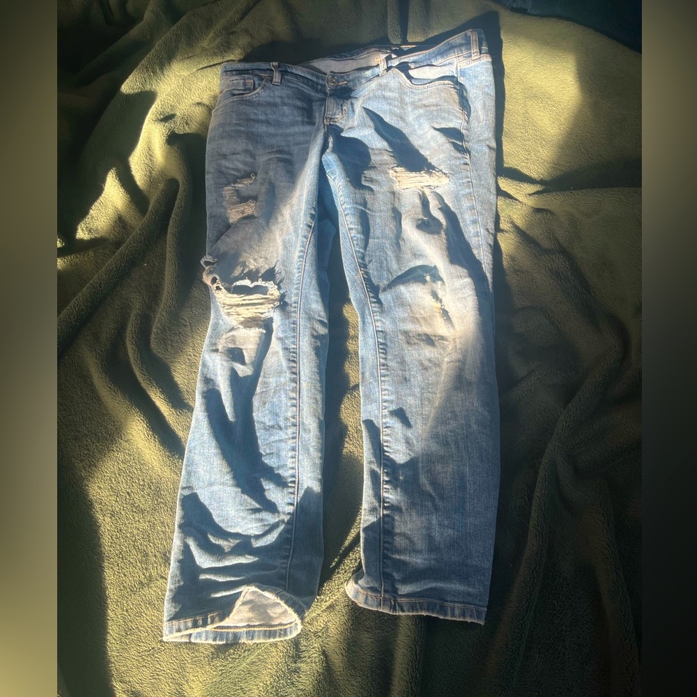 Torrid jeans